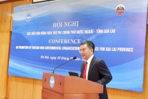 gia lai province takes account of reinforcing foreign ngos aid mobilization